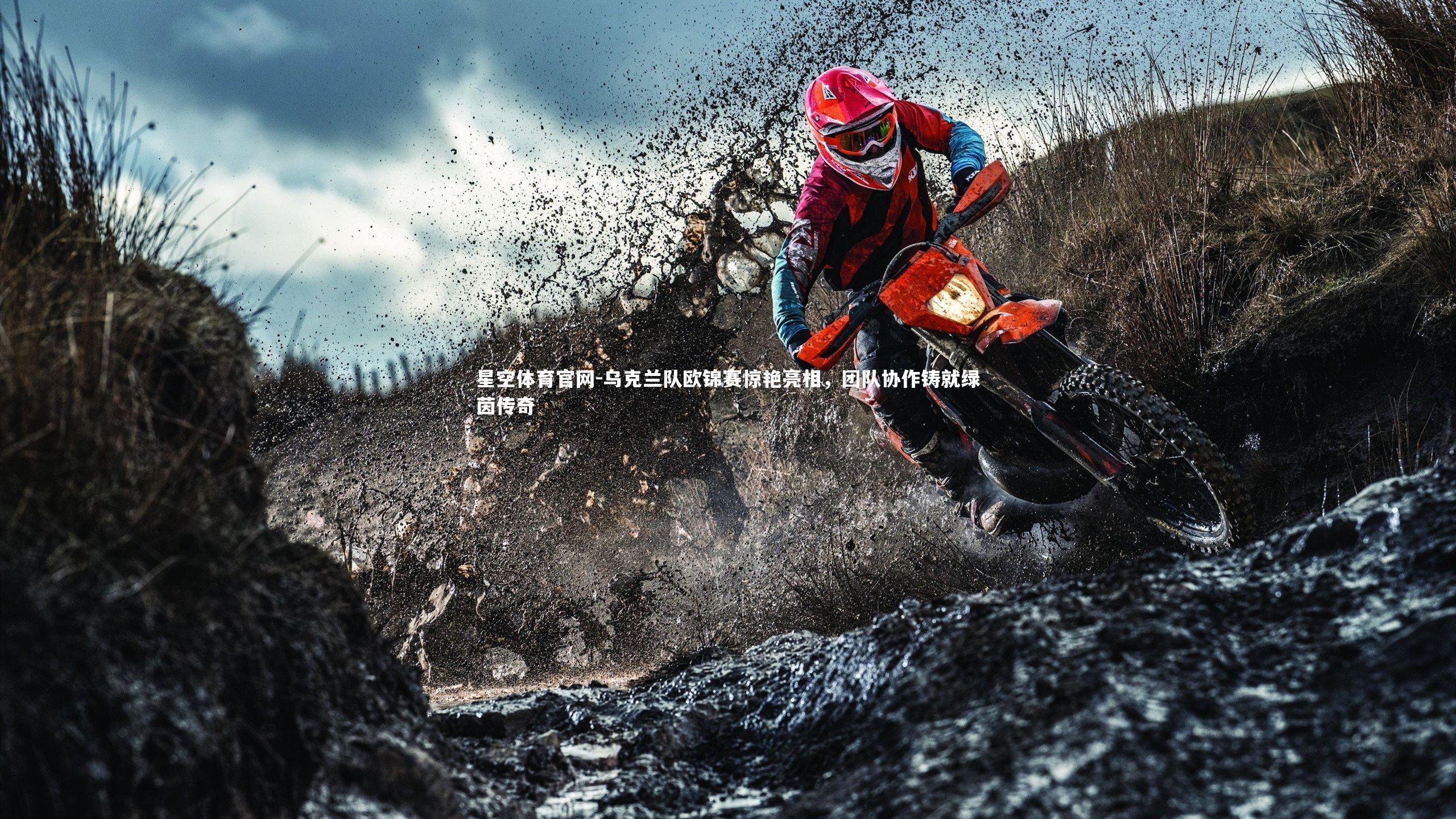 乌克兰队欧锦赛惊艳亮相,团队协作铸就绿茵传奇