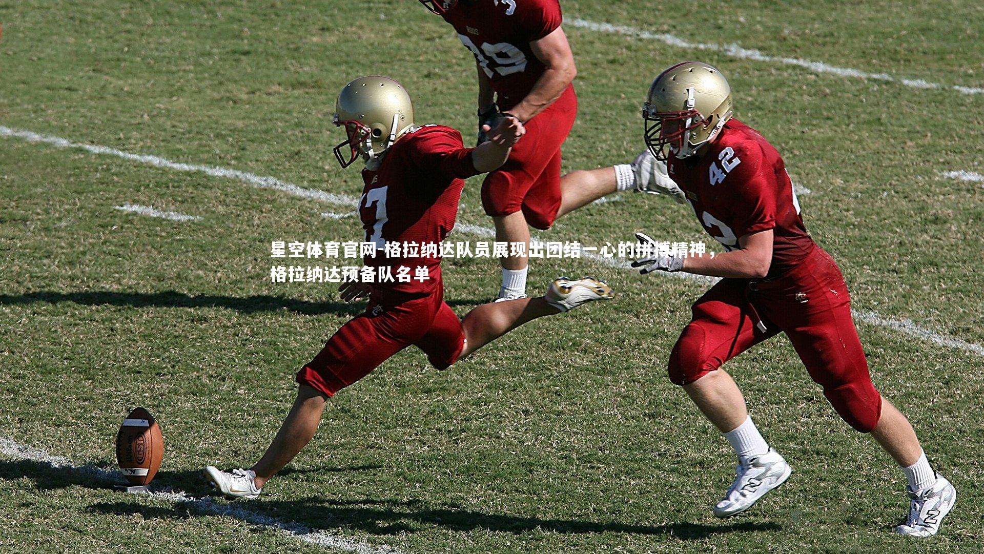 格拉纳达队员展现出团结一心的拼搏精神,格拉纳达预备队名单